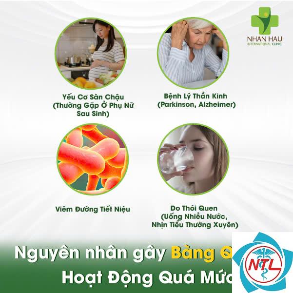 bàng quang hoạt động quá mức - Image 2