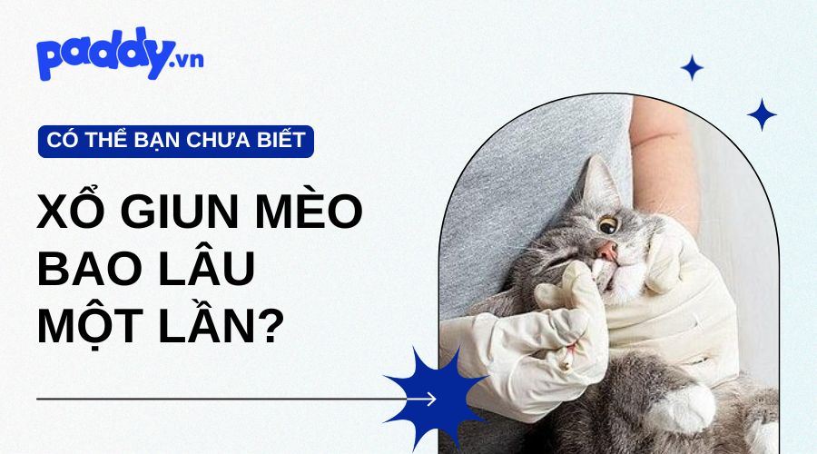 bao lâu thì tẩy giun 1 lần - Image 4