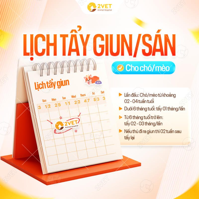 bao nhiêu tuổi tẩy giun - Image 5