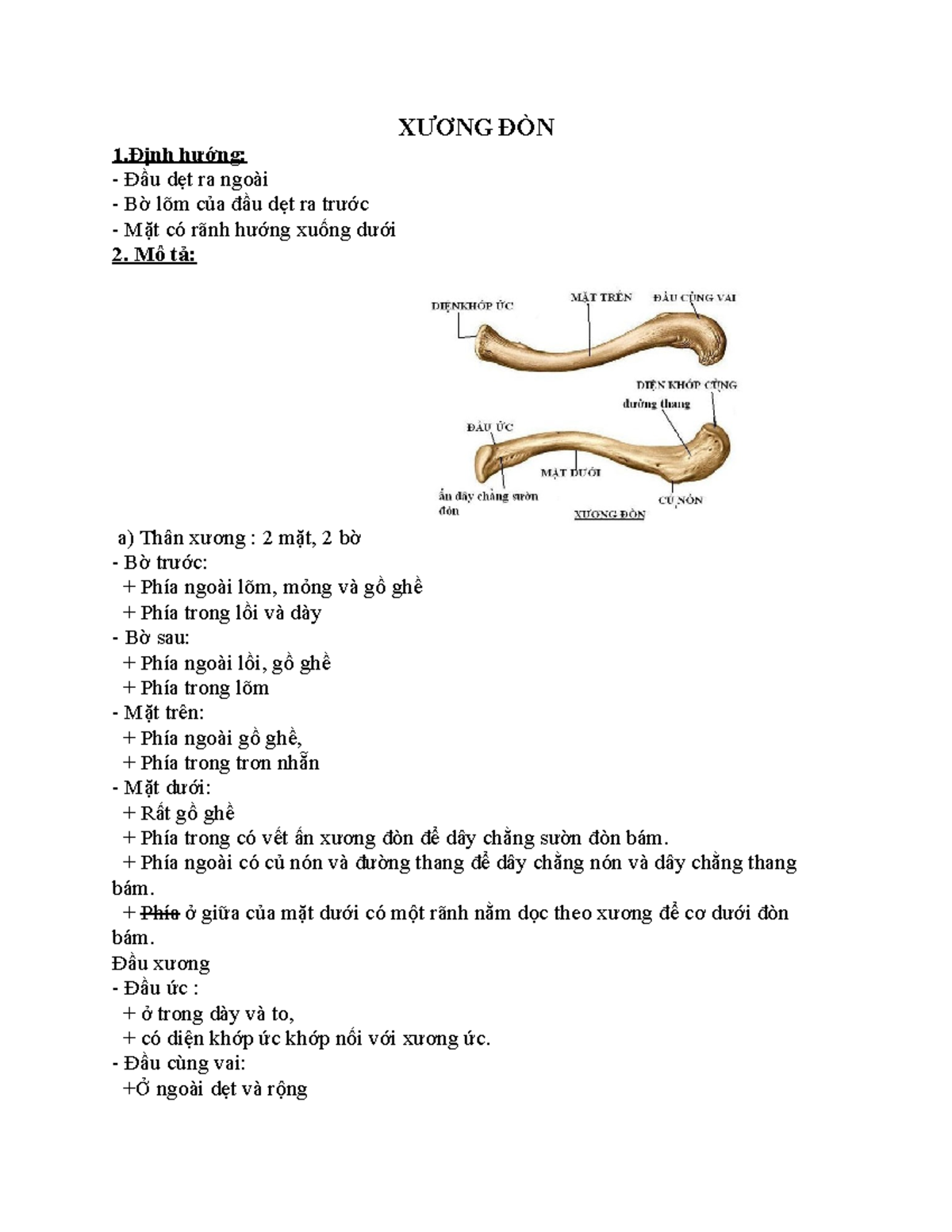bệnh án hậu phẫu gãy xương đòn - Image 3