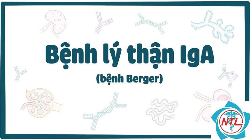 bệnh cầu thận IgA - Image 5