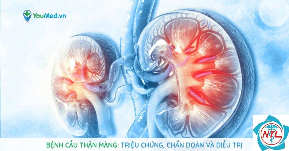 bệnh cầu thận màng - Image 2