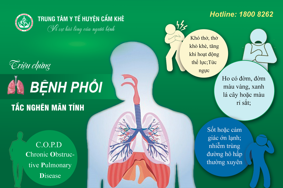 bệnh phổi tắc nghẽn mạn tính - Image 3