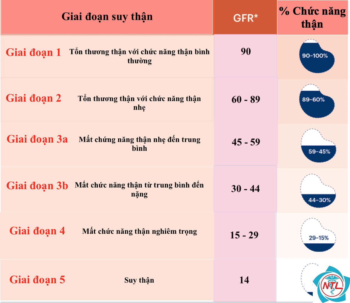 bệnh thận giai đoạn 1 - Image 2