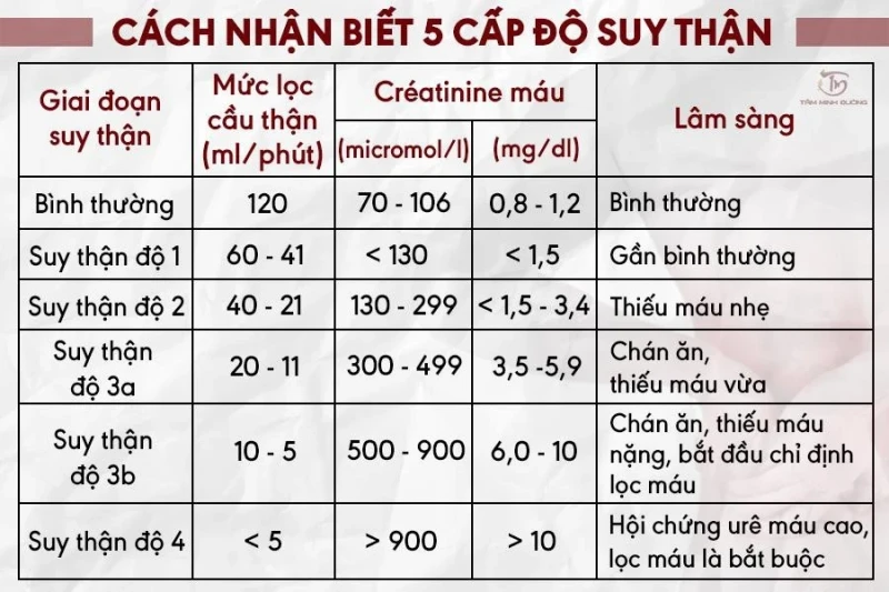 bệnh thận giai đoạn 1 - Image 5