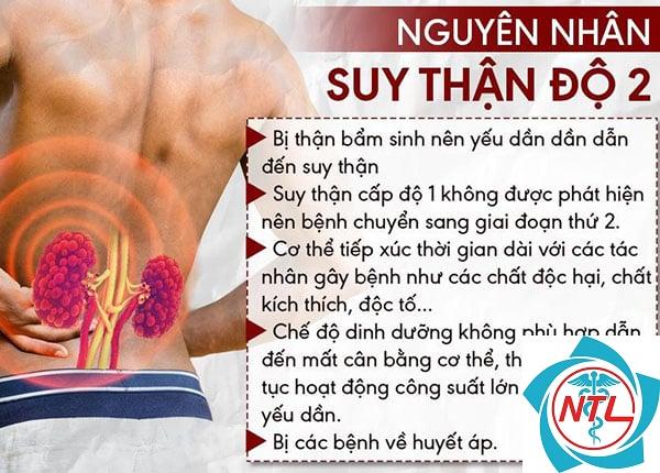 bệnh thận giai đoạn 2 - Image 2