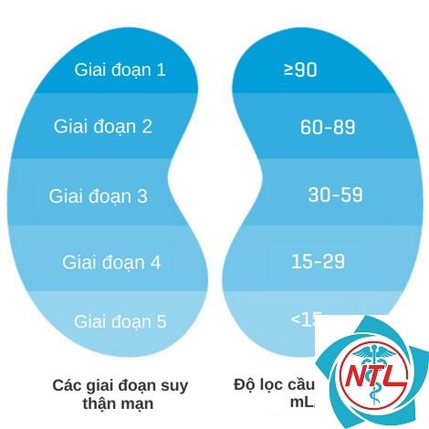 bệnh thận giai đoạn 3 - Image 2