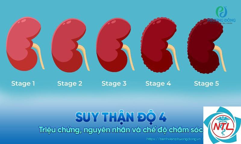 bệnh thận giai đoạn 4