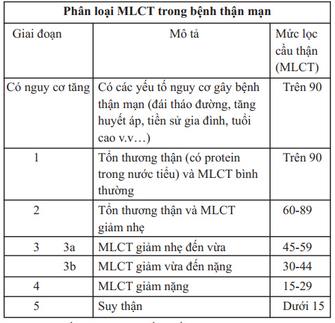 bệnh thận mạn giai đoạn sớm - Image 3