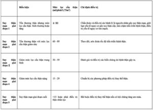 bệnh thận mạn giai đoạn sớm