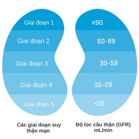 bệnh thận mạn giai đoạn sớm - Image 4