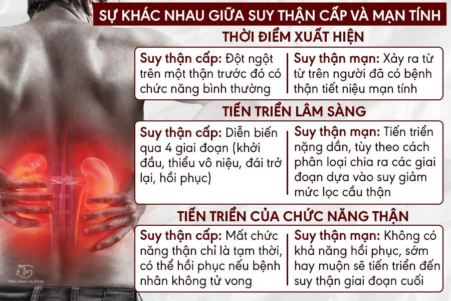 bệnh thận mạn là gì - Image 2