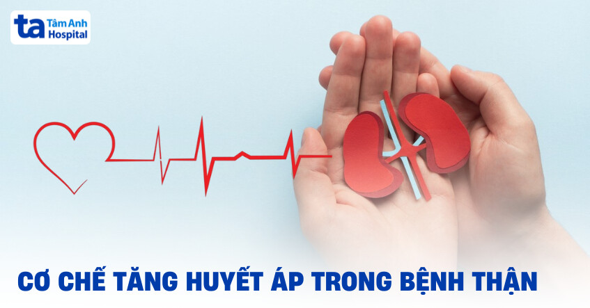 bệnh thận mạn và tăng huyết áp - Image 2