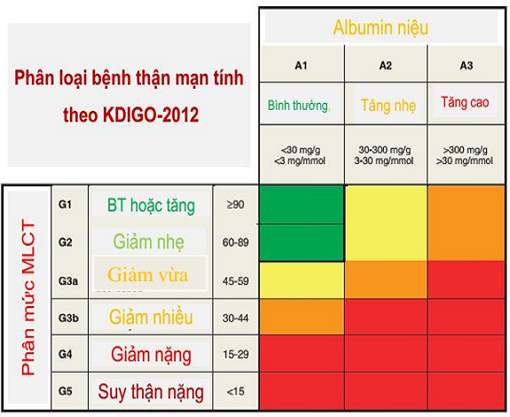 bệnh thận mạn và tiểu đường - Image 2
