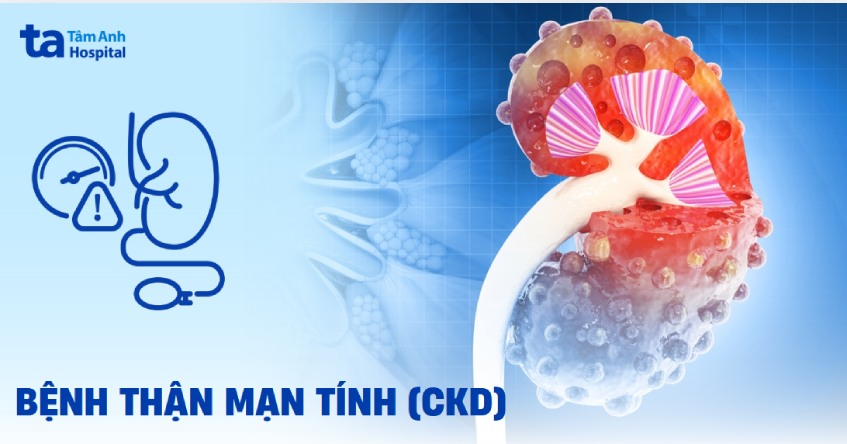 bệnh thận mạn