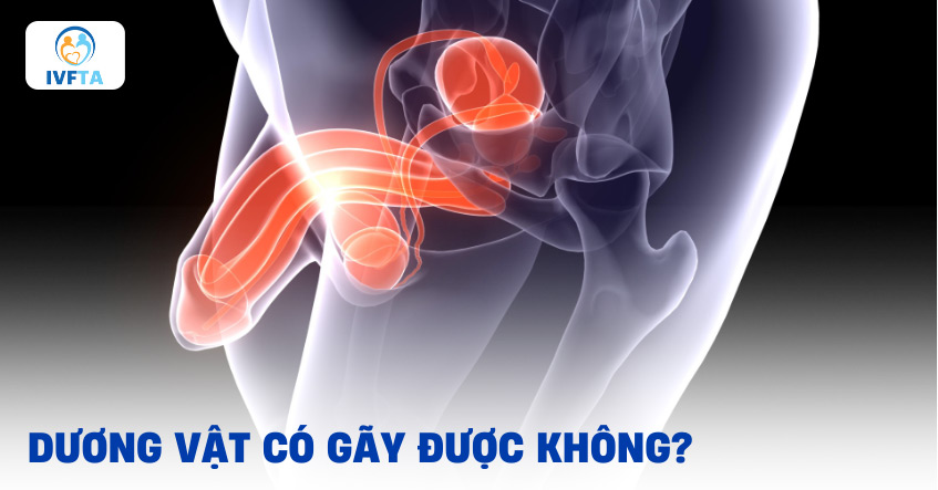 bị gay - Image 3