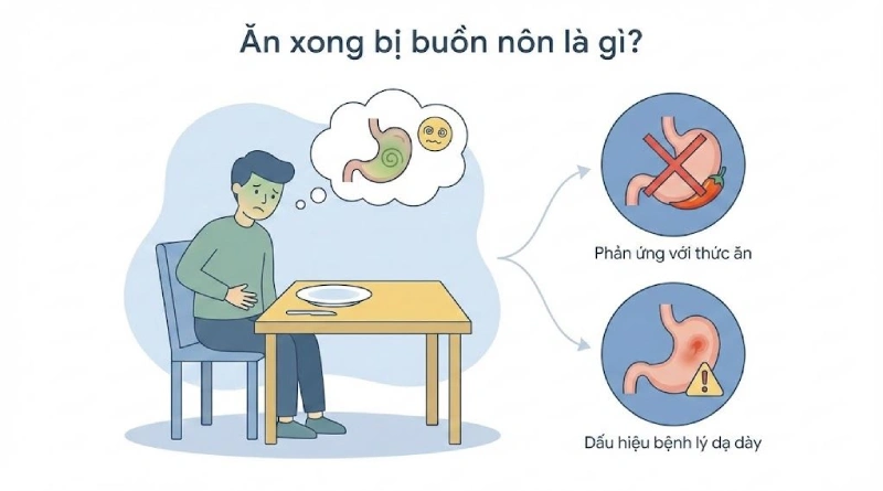 buồn nôn là dấu hiệu bệnh gì - Image 5