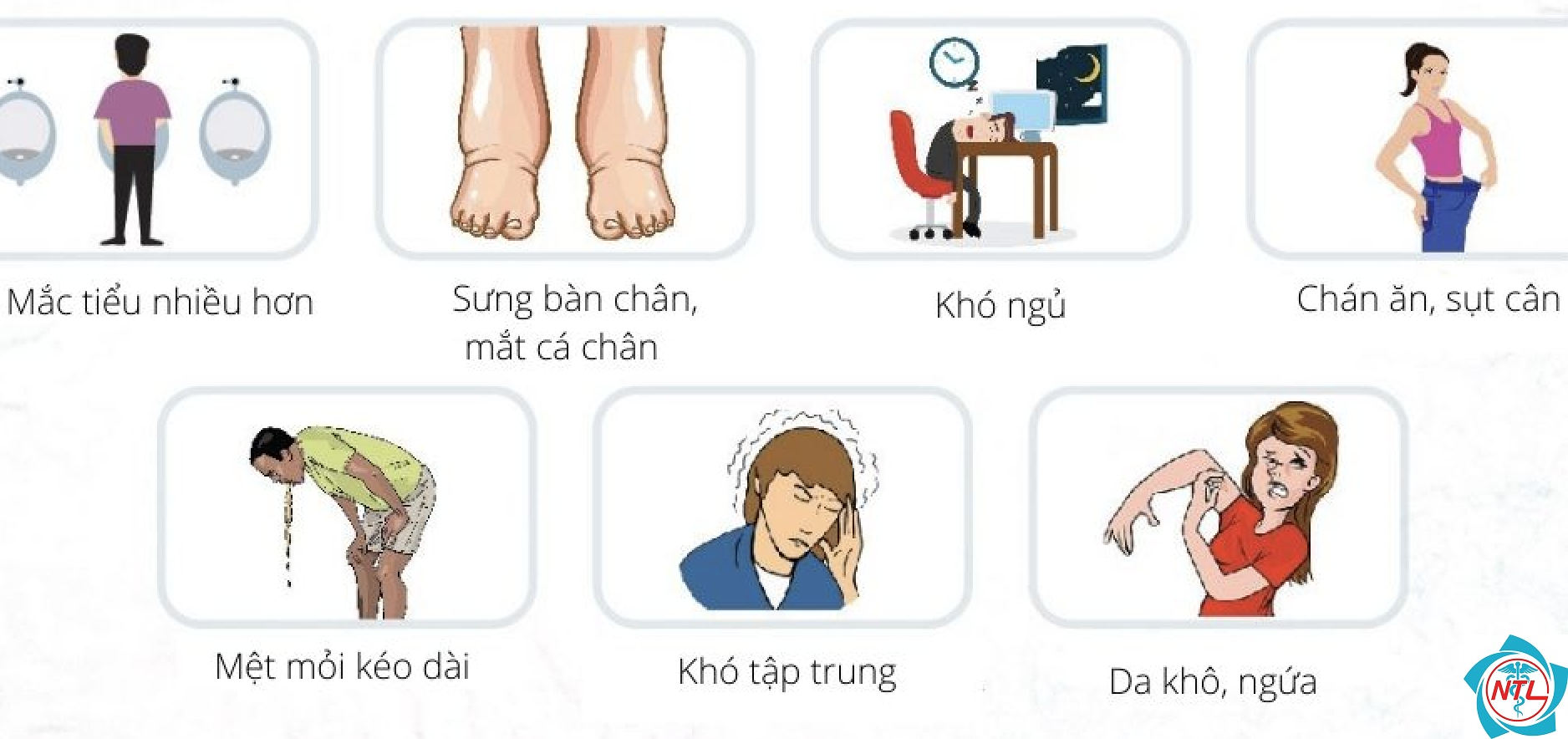 các bệnh về thận - Image 3