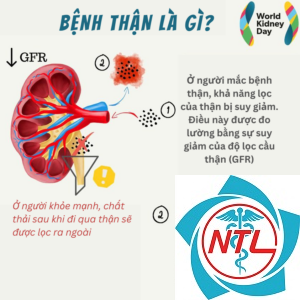 các bệnh về thận