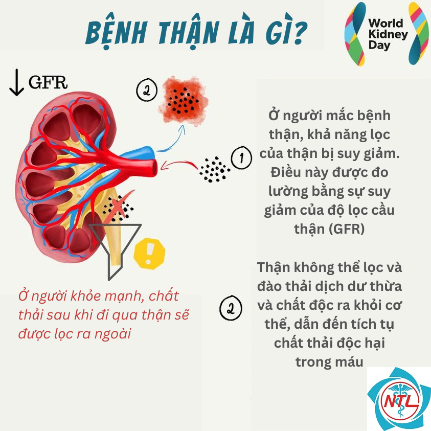 các bệnh về thận