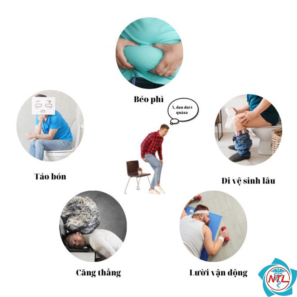 cách ngừa bệnh trĩ - Image 3