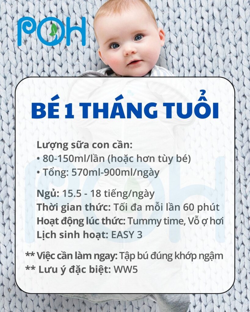 cách nuôi trẻ sơ sinh