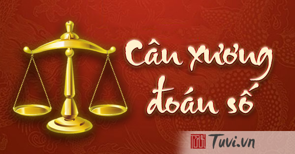 can xuong doan so - Image 3