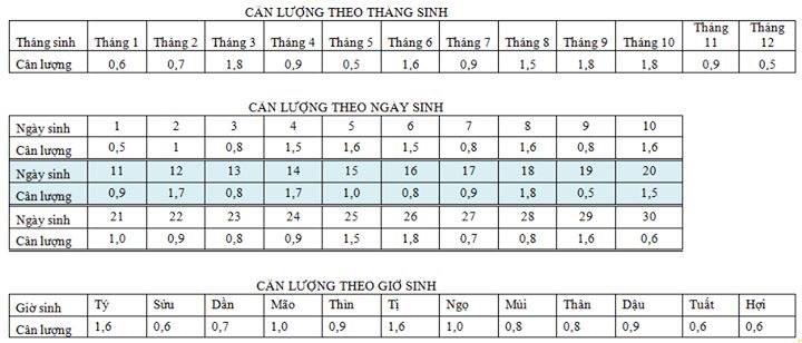 can xuong doan so - Image 4
