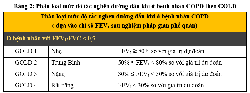 chẩn đoán copd - Image 4