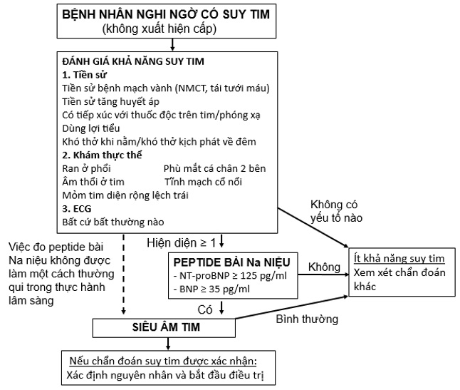 chẩn đoán suy tim - Image 2
