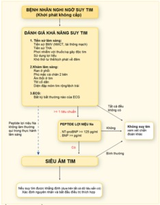 chẩn đoán suy tim