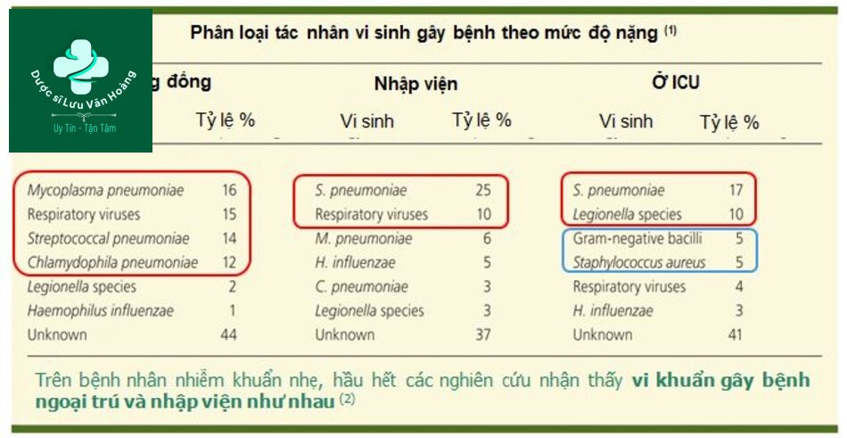chẩn đoán viêm phổi - Image 2
