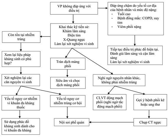 chẩn đoán viêm phổi - Image 3