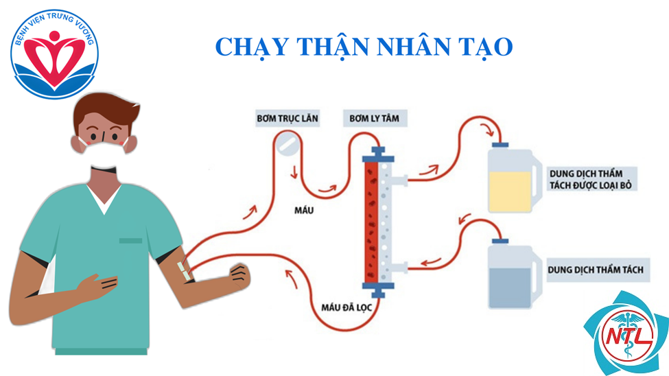chạy thận nhân tạo và lọc máu - Image 5