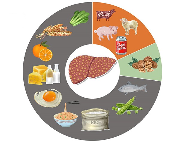 chế độ sinh hoạt cho người gan nhiễm mỡ - Image 2
