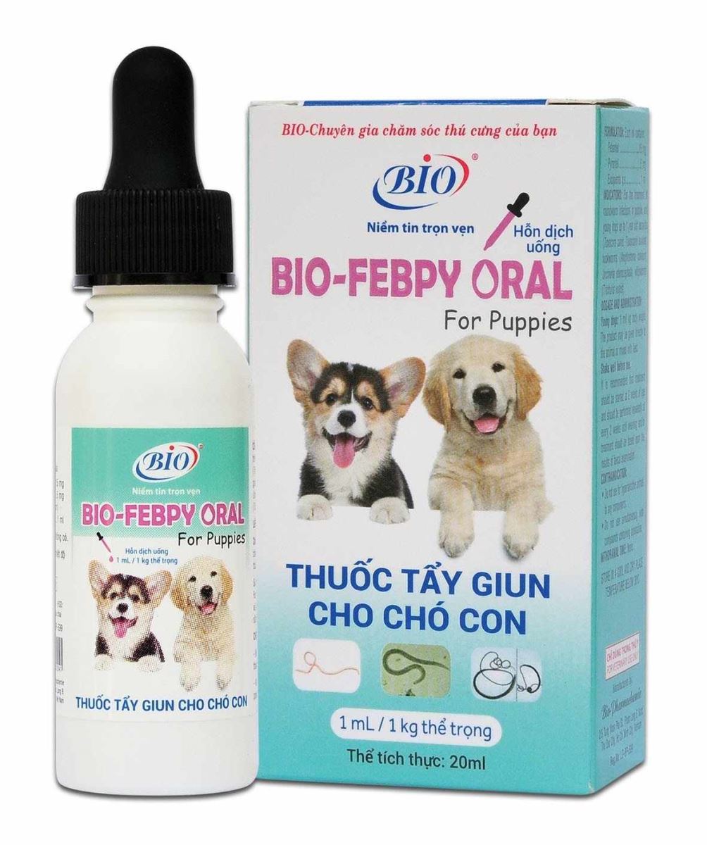 cho chó con uống thuốc tẩy giun - Image 4