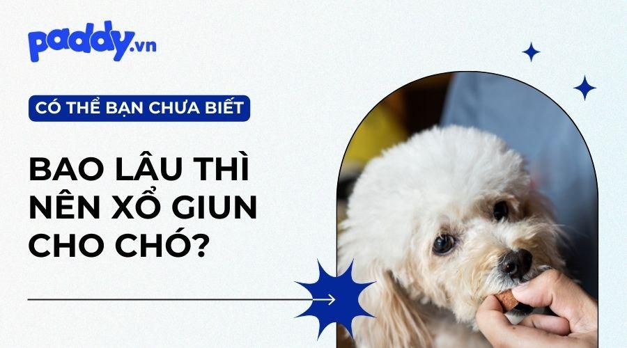 cho chó uống thuốc tẩy giun vào lúc nào - Image 4