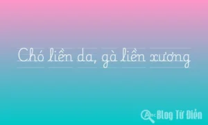 cho lien da ga lien xuong