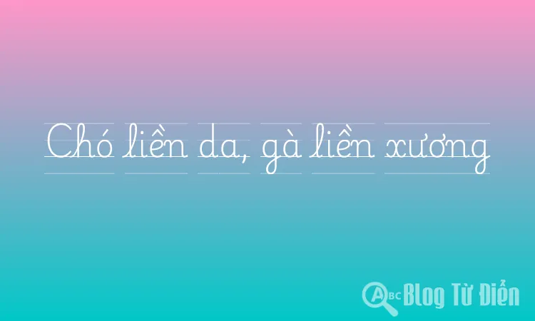 cho lien da ga lien xuong