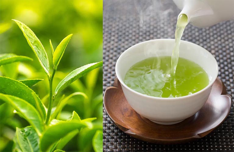 chữa viêm va cho bé bằng thuốc nam - Image 3