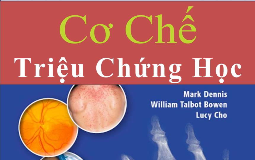 cơ chế triệu chứng - Image 5
