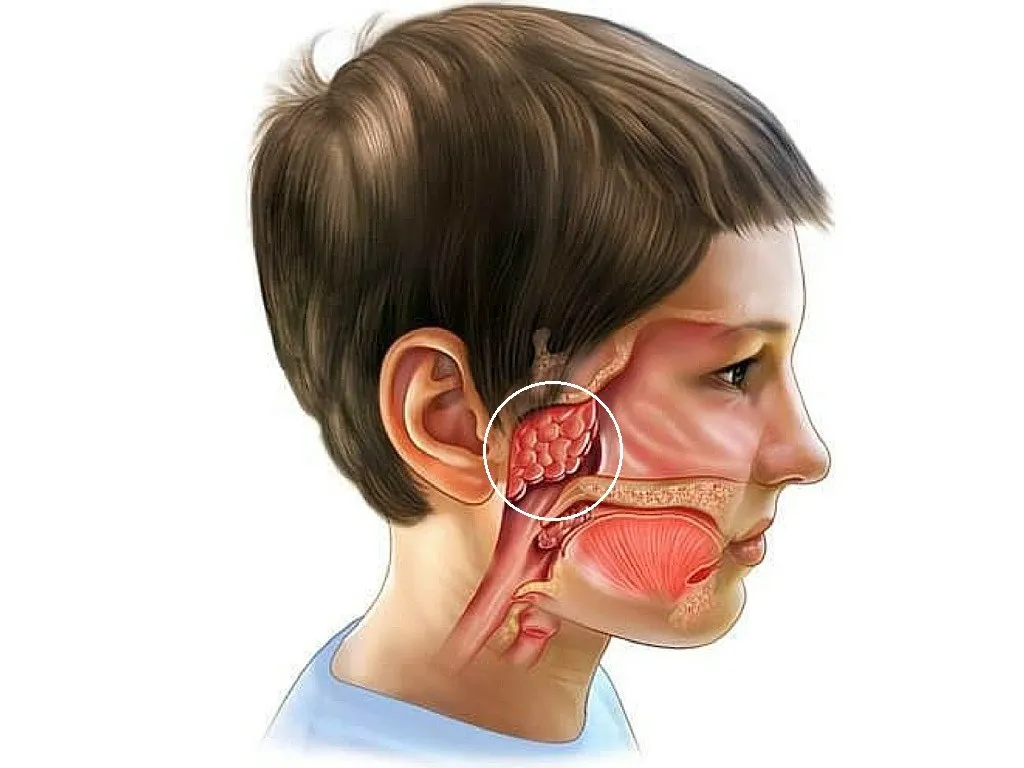 có nên nạo va cho trẻ - Image 2