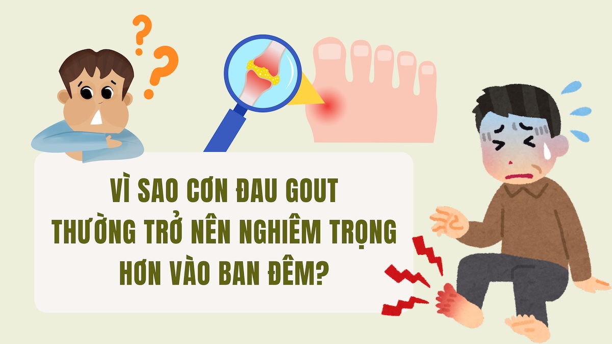 cơn gout về đêm - Image 3