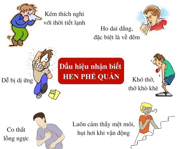 cơn hen phế quản - Image 4