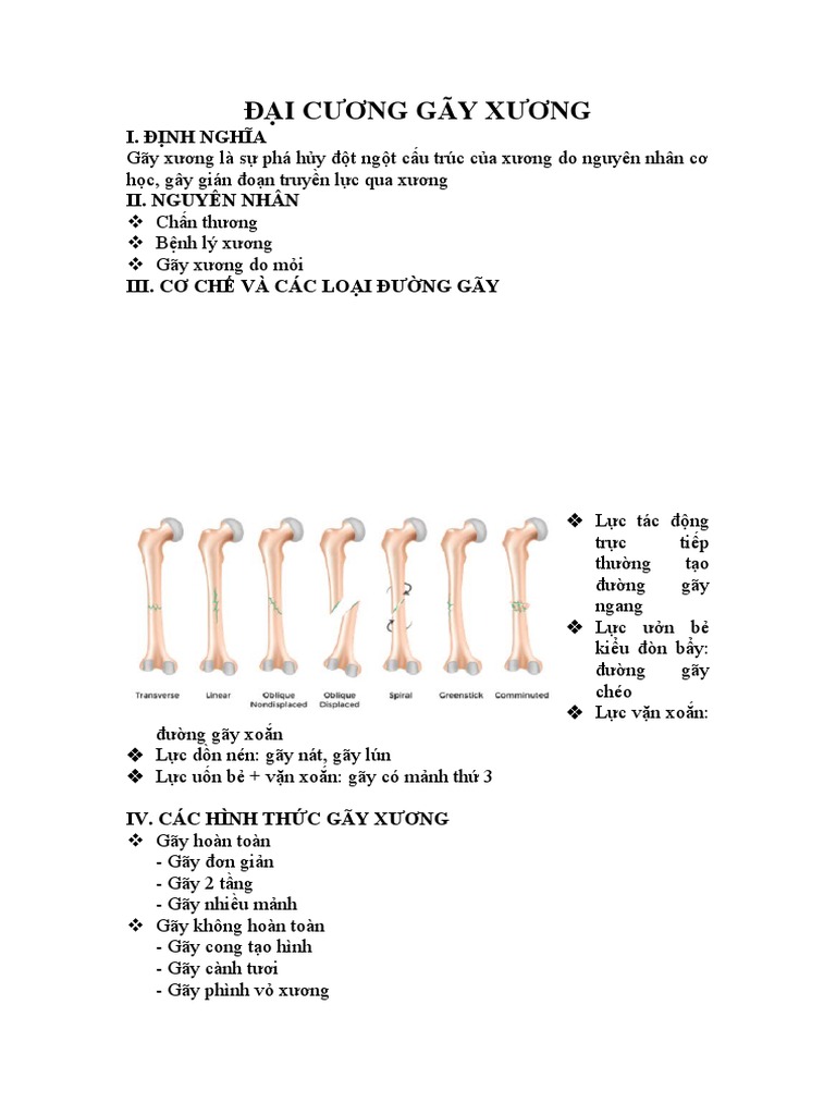 đại cương gãy xương - Image 1