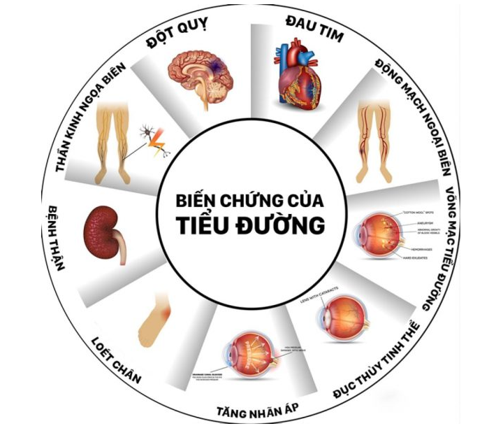 đái tháo đường type 2 ở người cao tuổi - Image 4