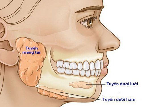 đau dưới hàm trái - Image 2