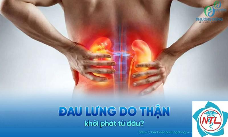 đau hông lưng do thận - Image 3