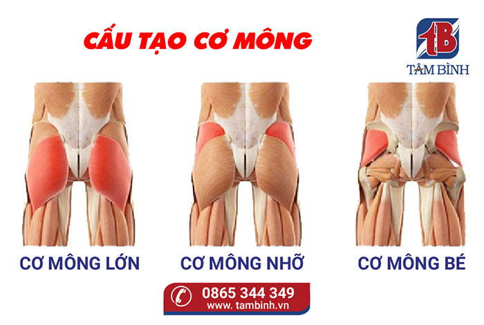 đau khớp ở mông - Image 4