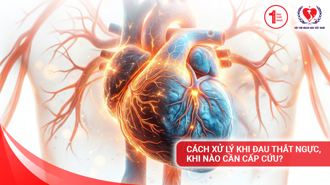 đau ngực cần đi cấp cứu khi nào - Image 3